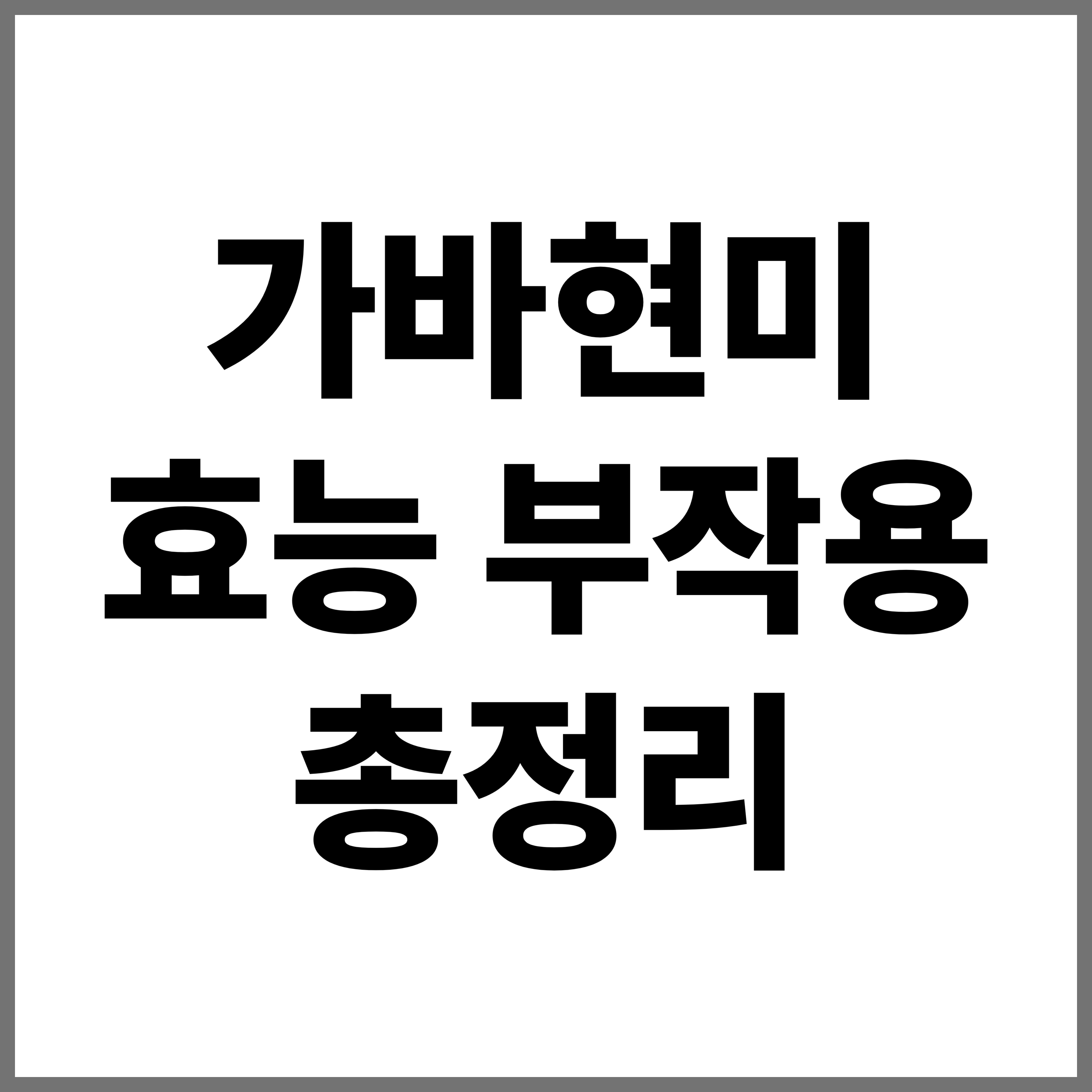 가바현미 효능