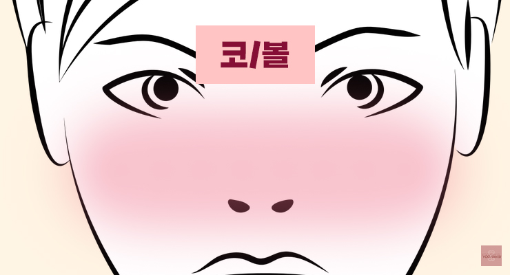 여드름 부위별 원인 코 볼