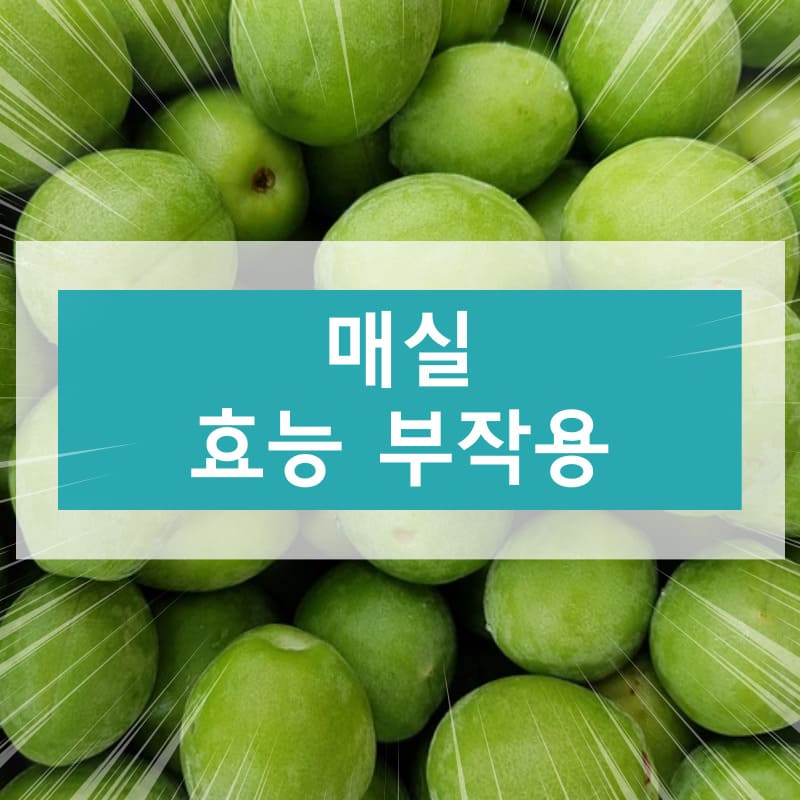 매실 효능 부작용