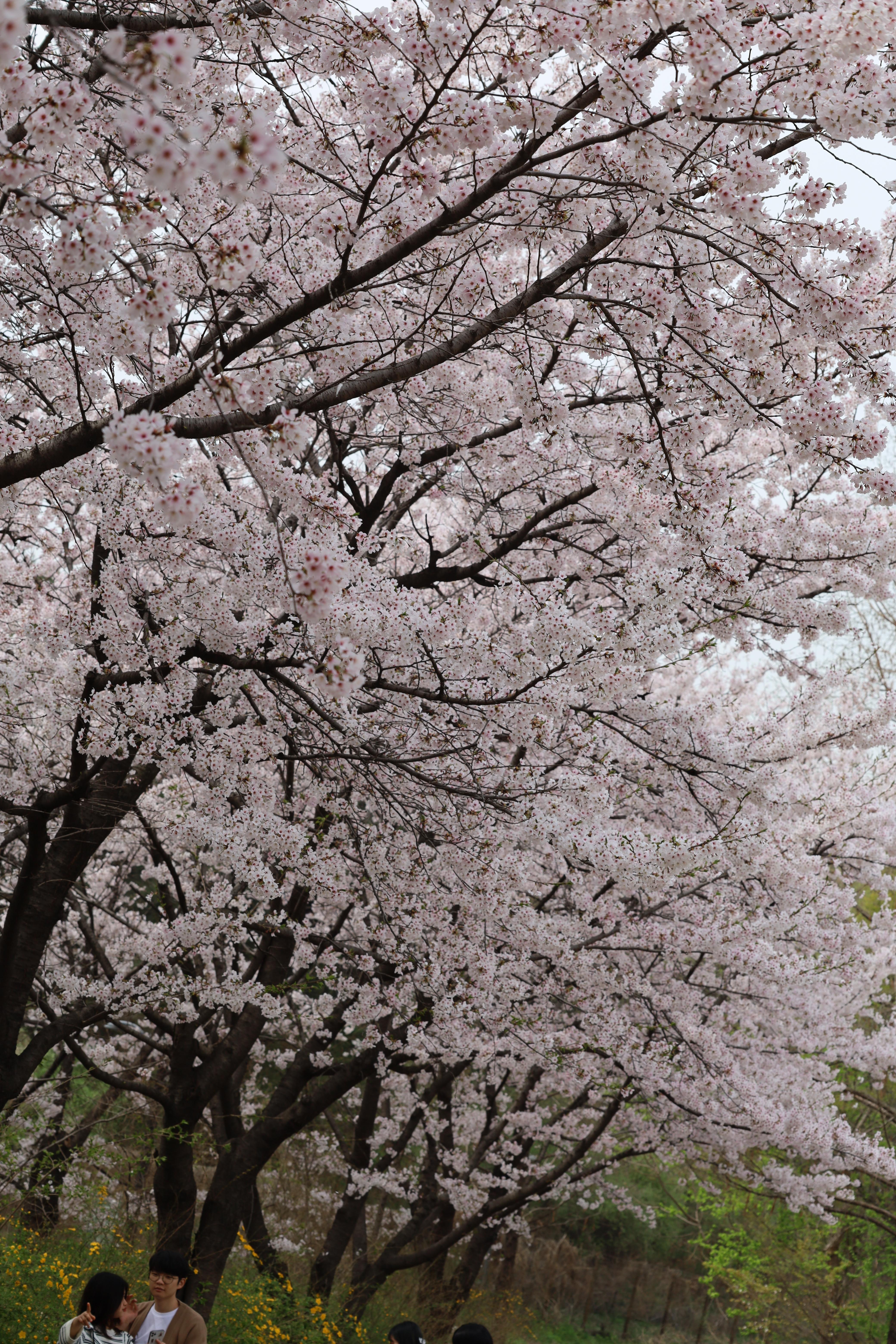 마우스 우클릭, 다른 이름으로 사진 저장 img |무료 이미지 다운로드