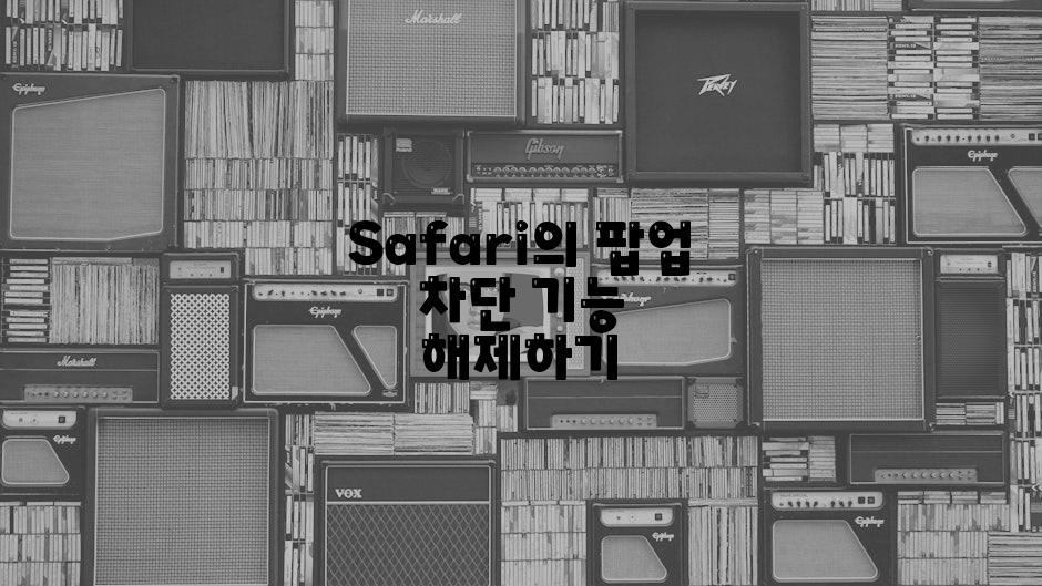 Safari의 팝업 차단 기능 해제하기