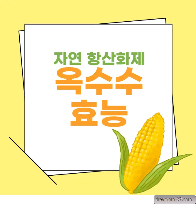 옥수수효능
