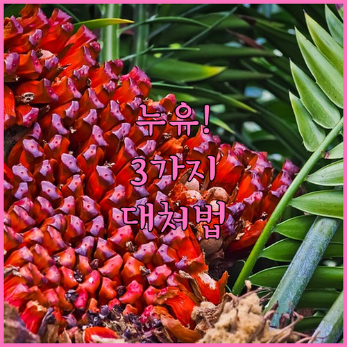 엔진오일 누유 증상 3가지와 원인 및..