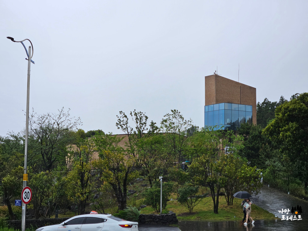 오설록 티 뮤지엄