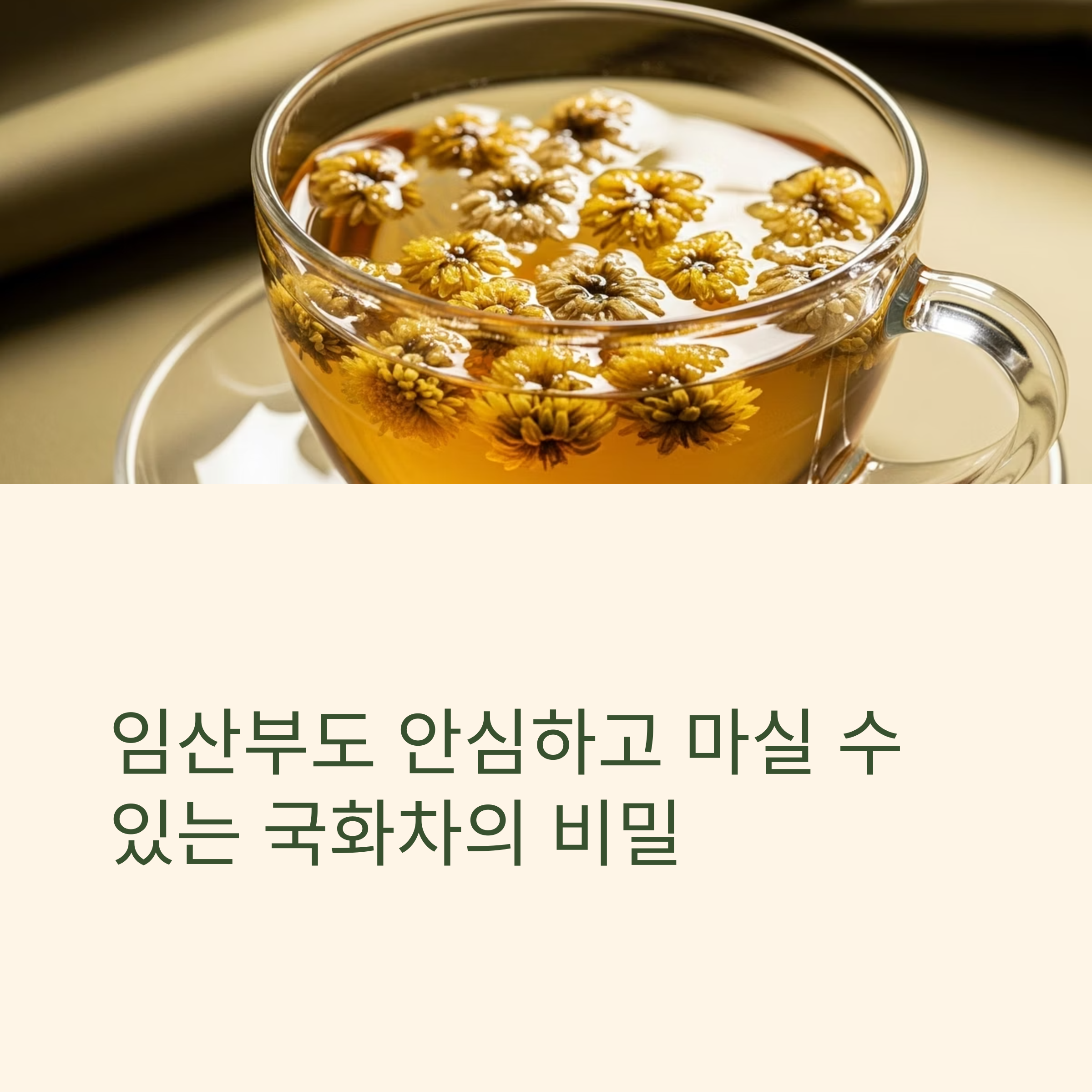 임산부도 안심하고 마실 수 있는 국화차의 비밀