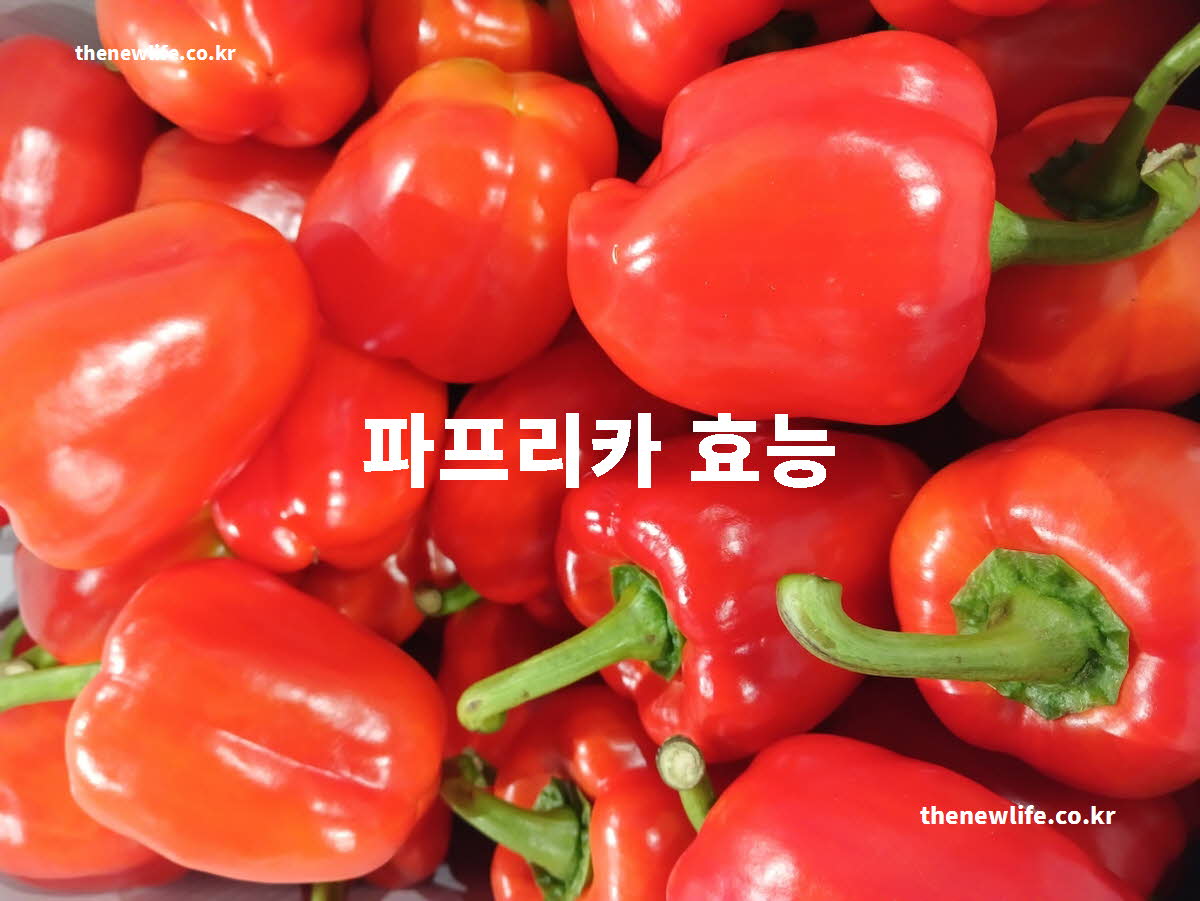 파프리카 효능 대표 실사진