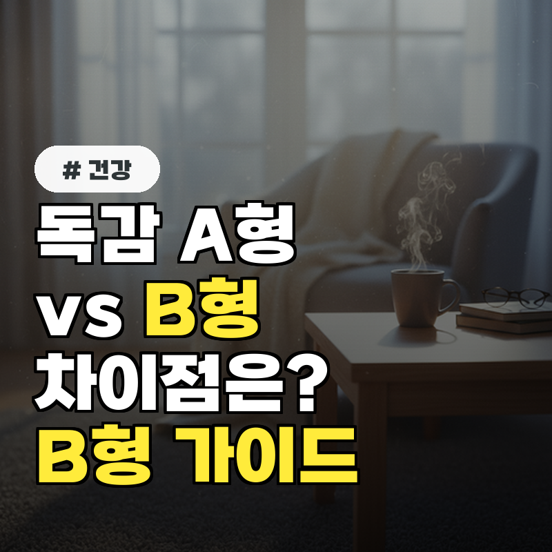 독감 A형 vs B형 차이점 B형 인플루엔자 상세 가이드!
