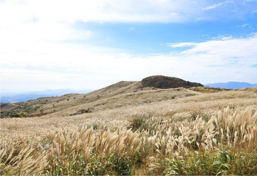 2025 황매산 억새축제 일정