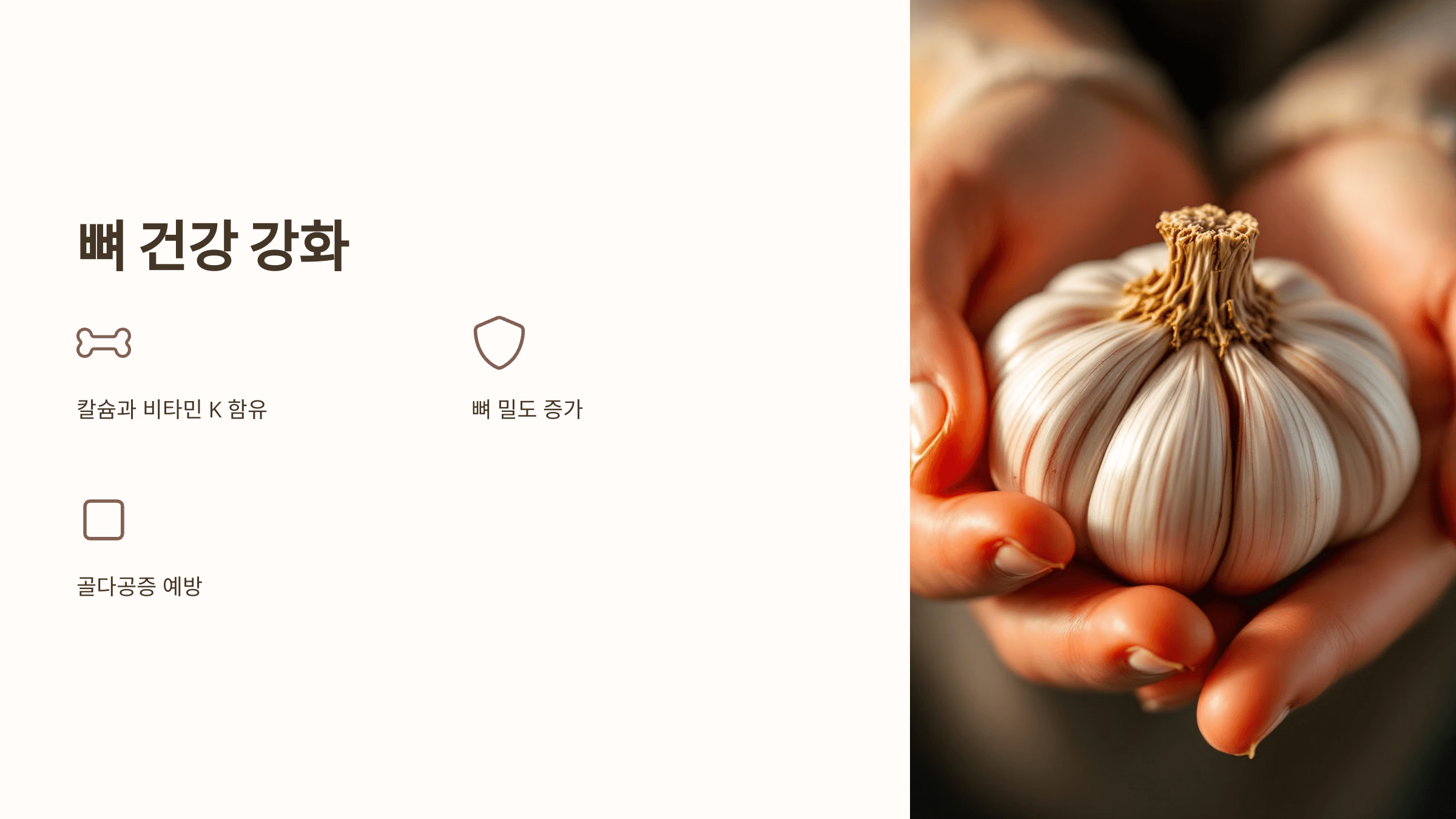 마늘 사진입니다.