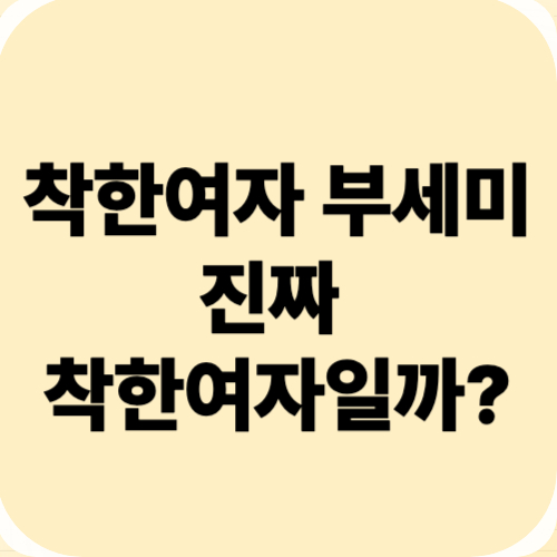 착한여자 부세미 뜻 재방송시간