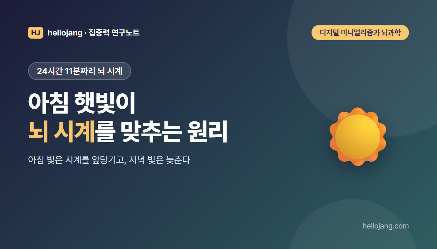 평균 24시간 11분 주기인 뇌 속 시계를 아침 햇빛이 매일 다시 맞추는 원리와 현실적인 아침 빛 노출 방법을 다루는 글의 표지 그림