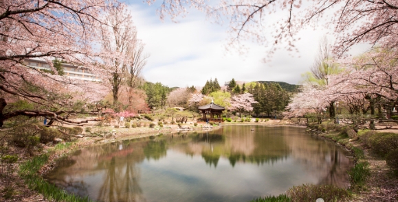경주이미지