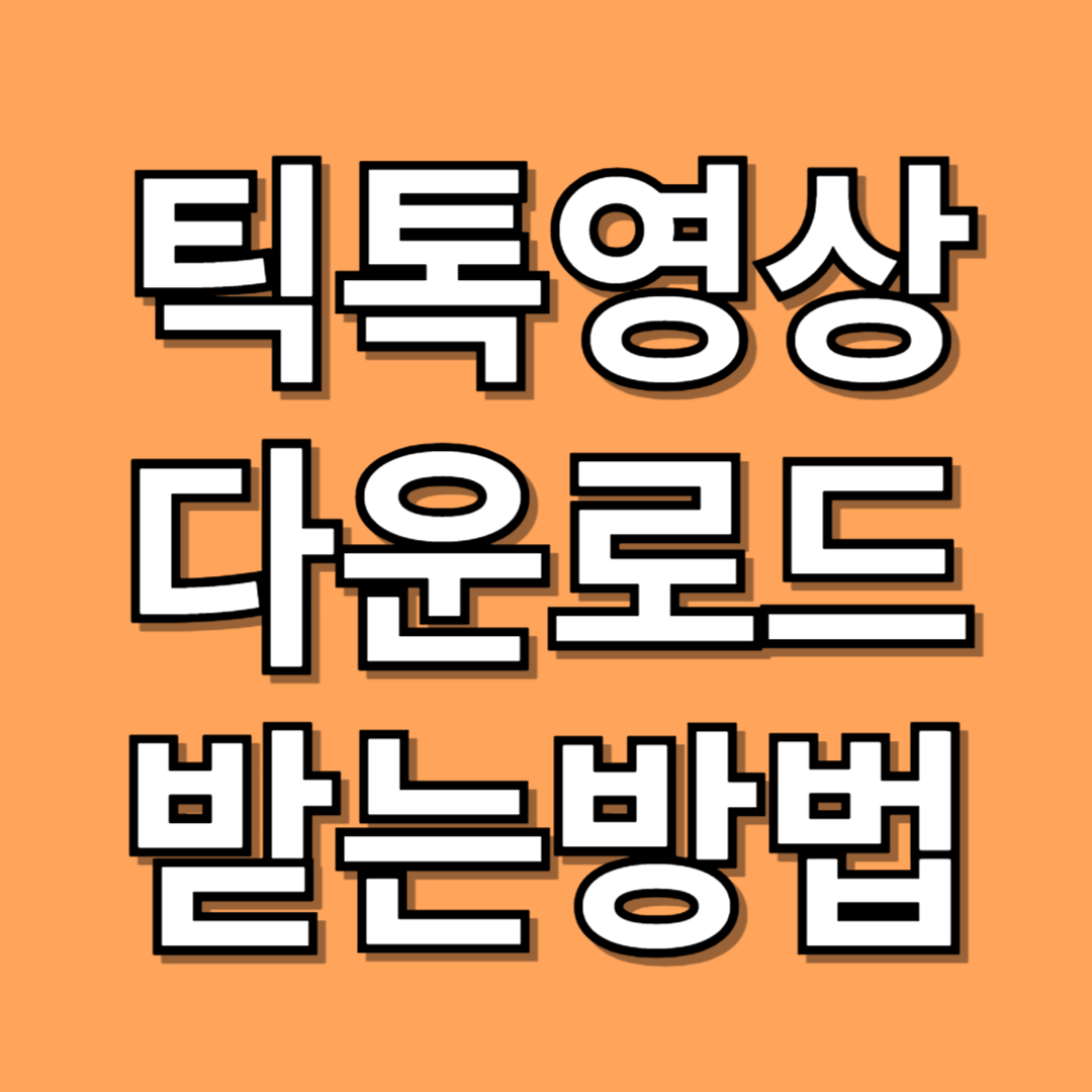 틱톡 영상 다운로드 방법