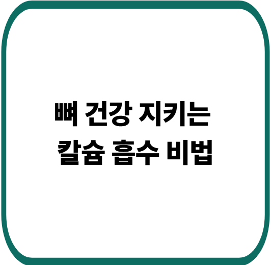 칼슘 흡수율 높이는 방법 : 뼈 건강을 지키는 7가지 생활 습관