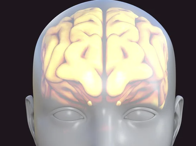 AI 시대에 살아남기