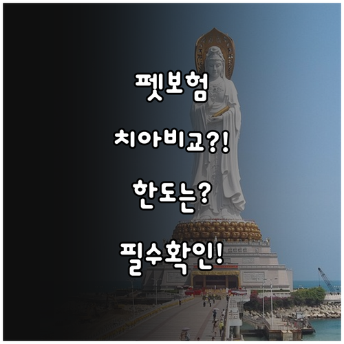 현대해상 등 펫보험 치과 보장 조건과..