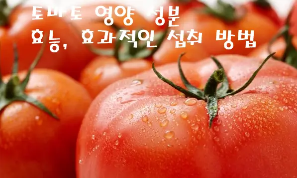 토마토