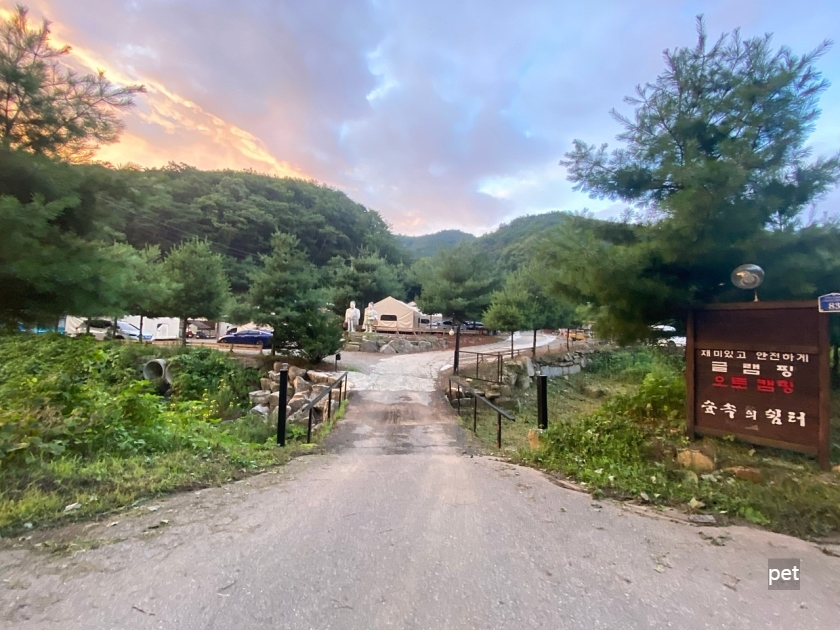 경기-연천-숲속의쉼터-캠핑장-예약-방법-애견-동반-가격-주소-시간-후기
