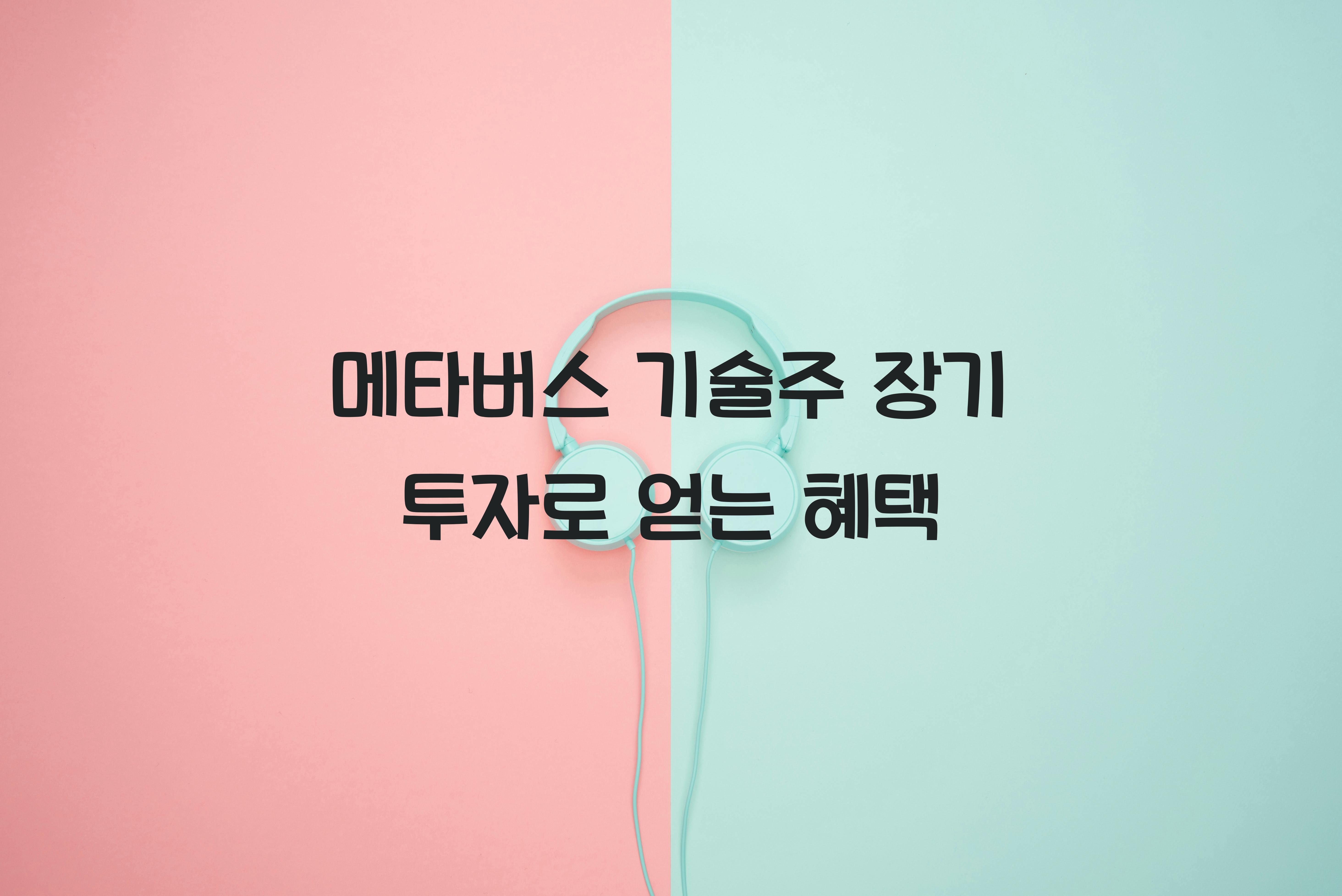 메타버스 기술주 장기 투자