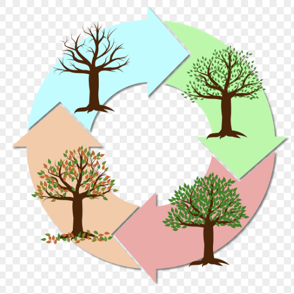 지속 가능한 패션 산업: 순환 경제와 폐기물 최소화