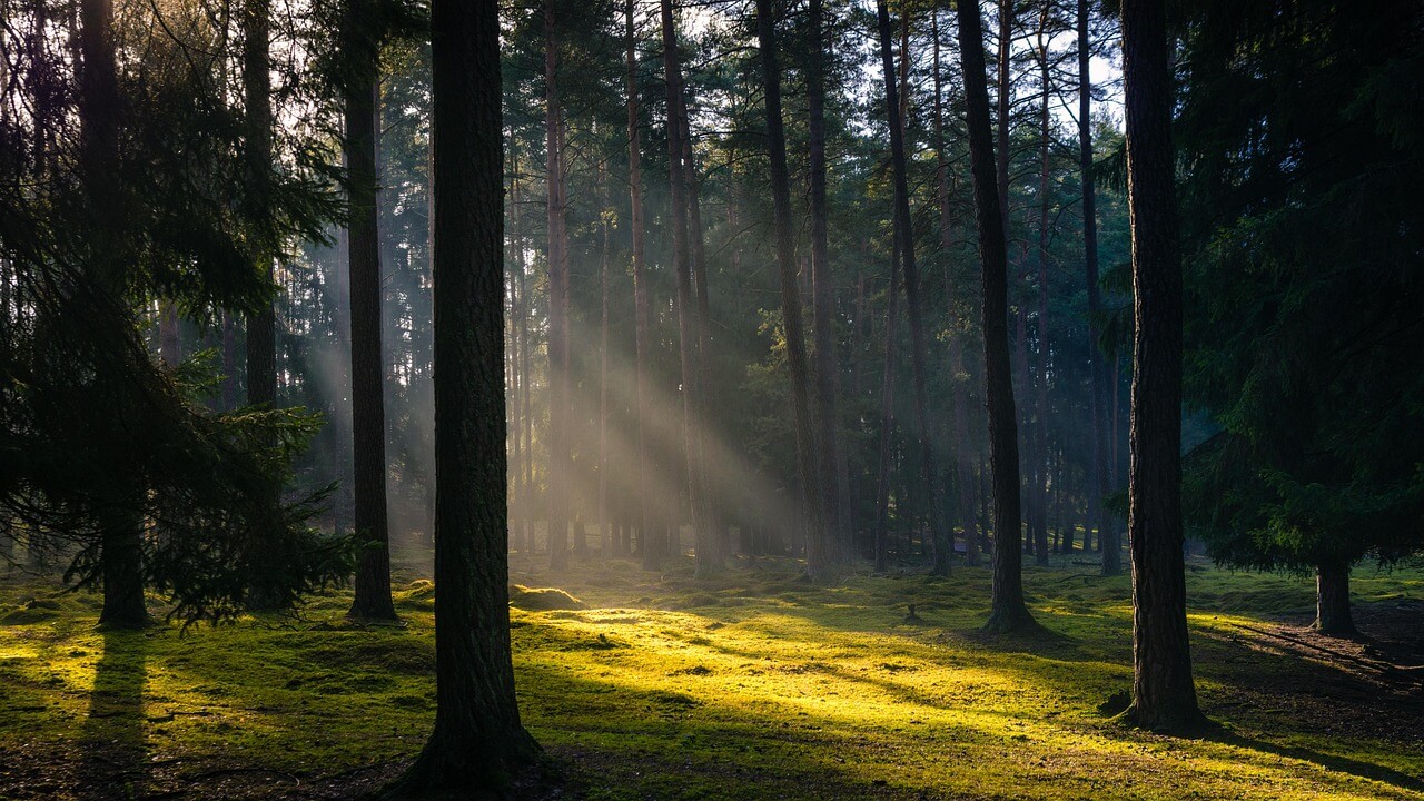 제주도 세계자연유산 워킹투어 예약하는 방법