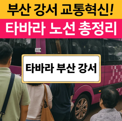 2025년 타바라 부산 강서 노선 완전 정복! 이렇게 이용하세요
