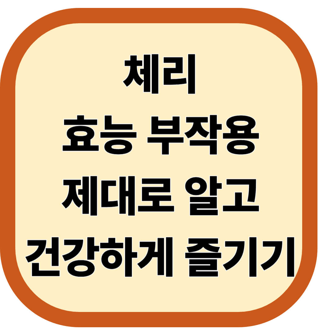 체리 효능 부작용