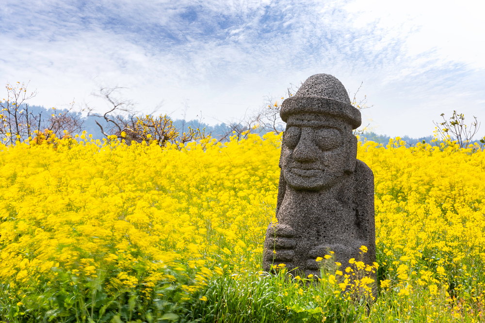 제주도 돌하르방과 유채꽃