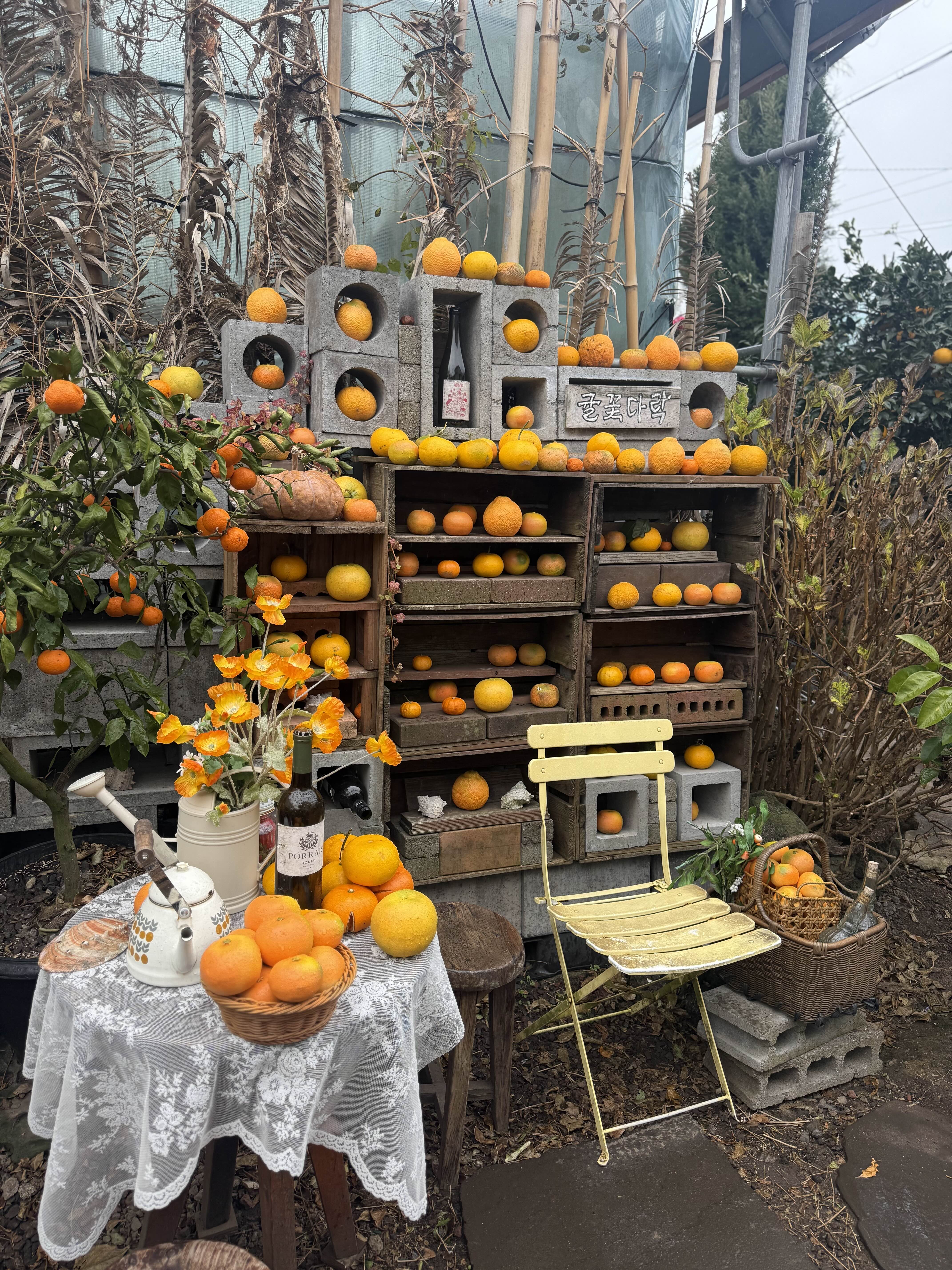 제주 귤꽃다락 카페 정원