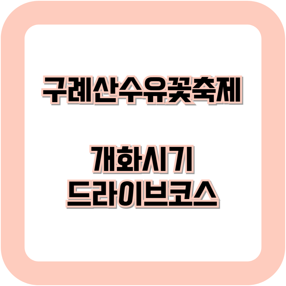 구례산수유꽃축제 개화시기