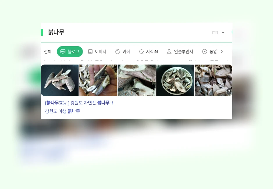 붉나무_1_subsection