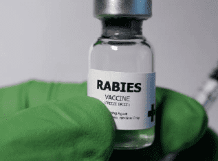 대상포진 예방접종 가격