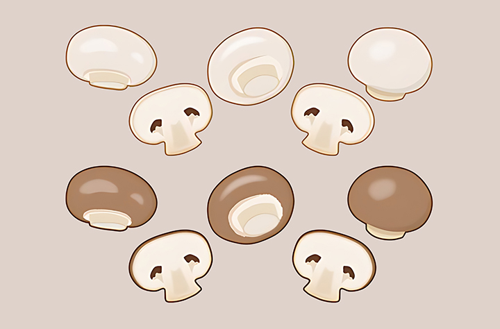 양송이-하루-섭취-권장량