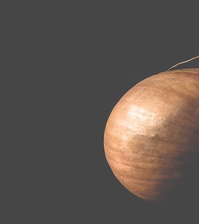 양파 효능 사진40 