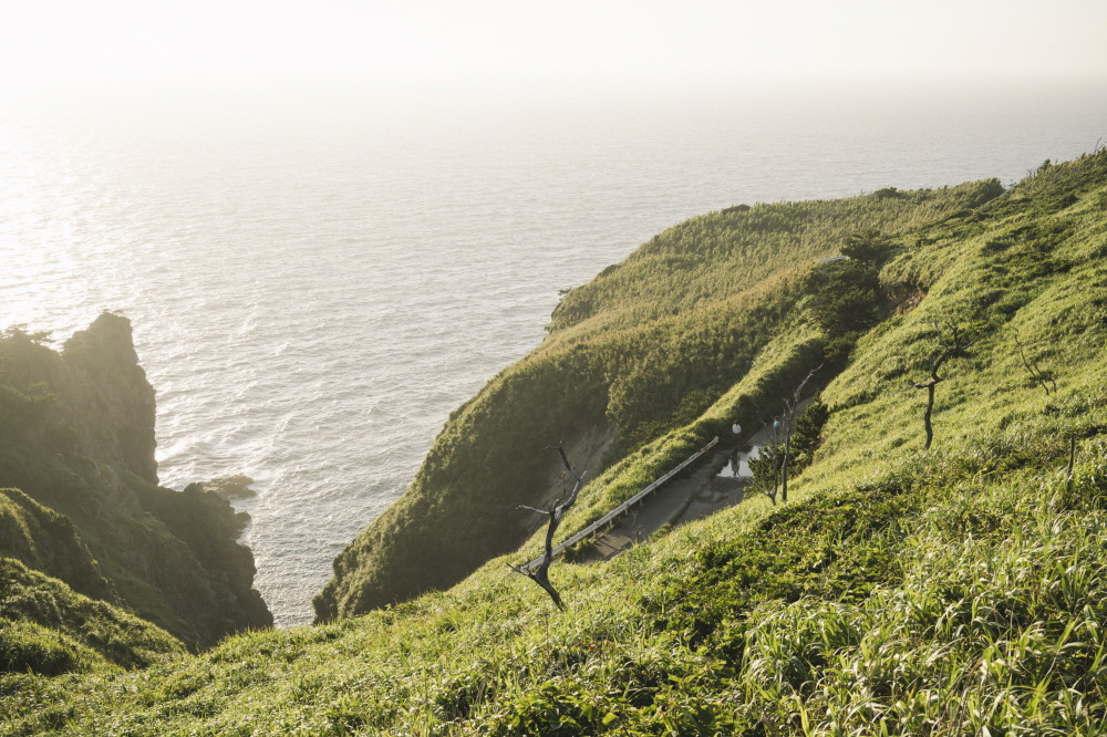 영화 <여행과 나날>