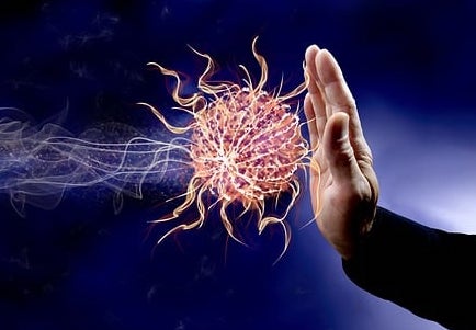 고구마 수확시기 및 고구마 효능