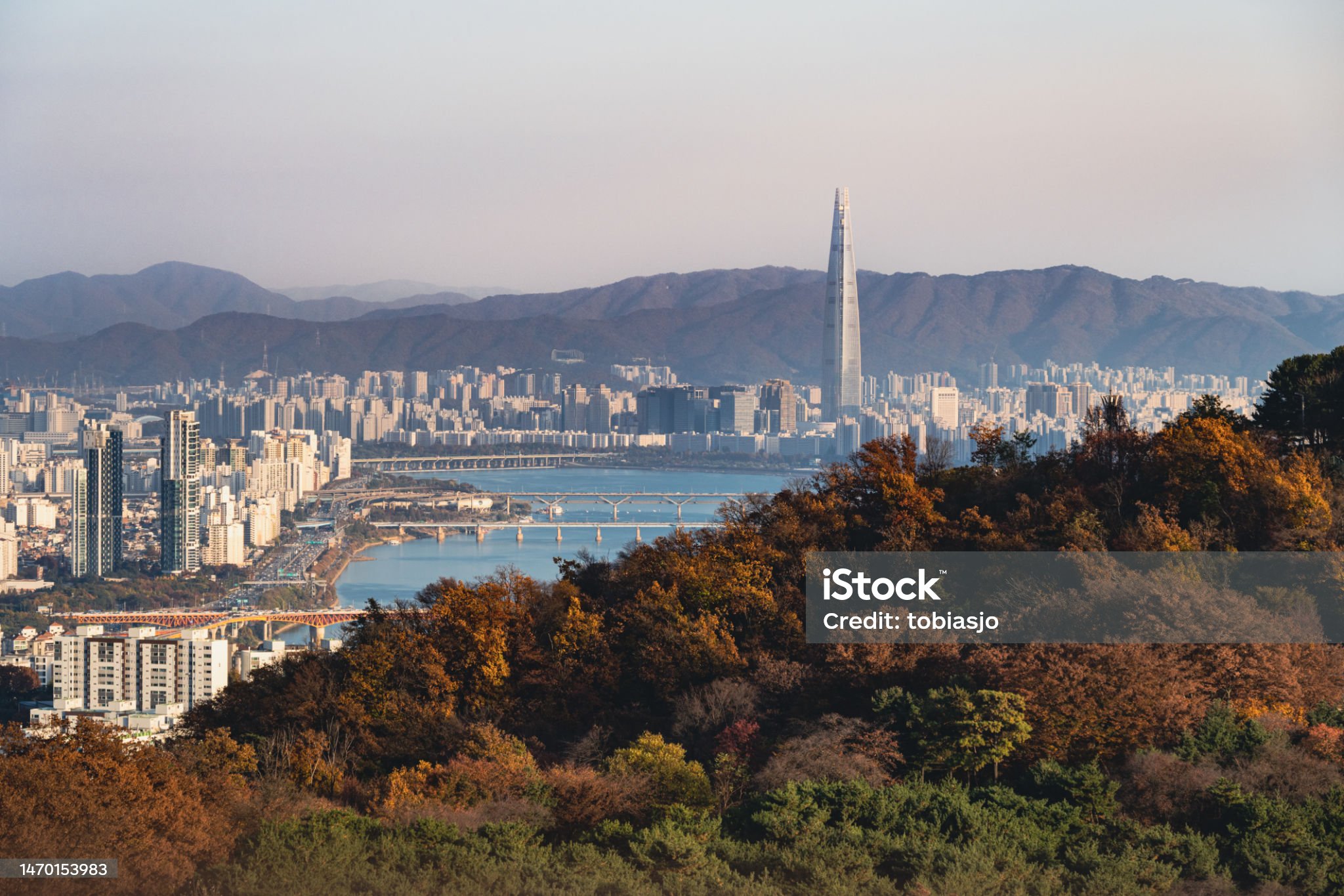 도시화와 기후변화