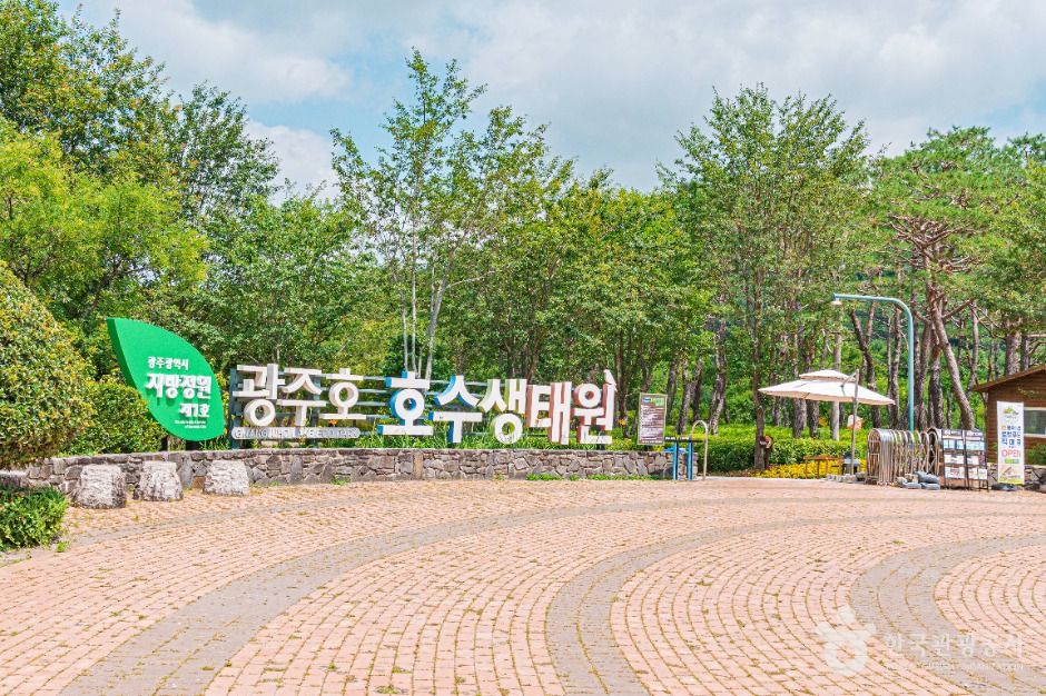 광주호 호수생태원 관람 가이드 ❘ 이용 정보&middot;산책 코스&middot;계절별 볼거리 총정리