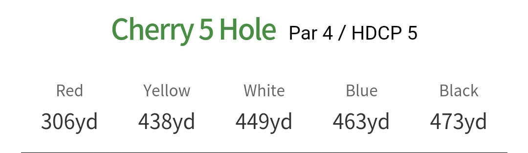 솔모로 컨트리클럽 체리코스 5