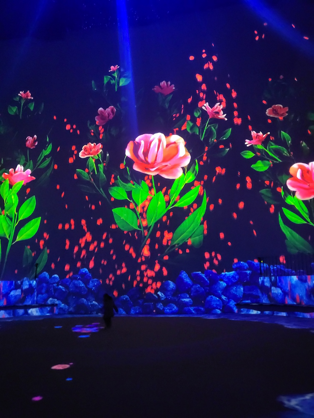 제주도 아이와 가볼만한곳 ( 노형슈퍼마켙 )