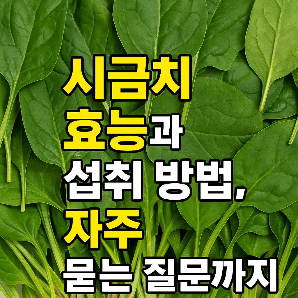 시금치 효능 사진