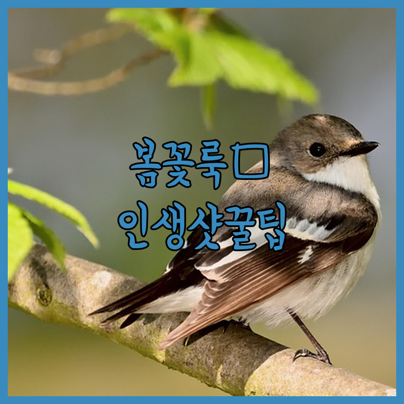20대 여성 주목!🌸 봄꽃 나들이 코