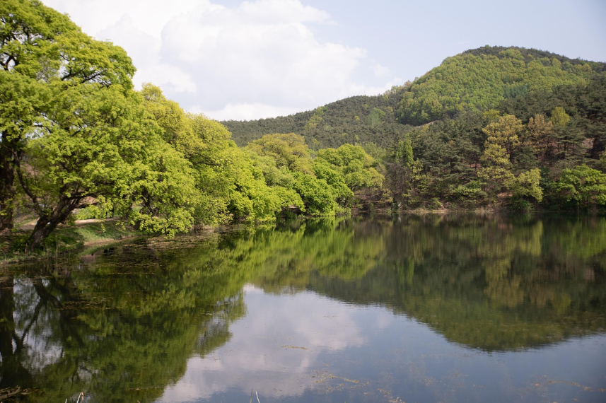 경북 칠곡 여행 사진