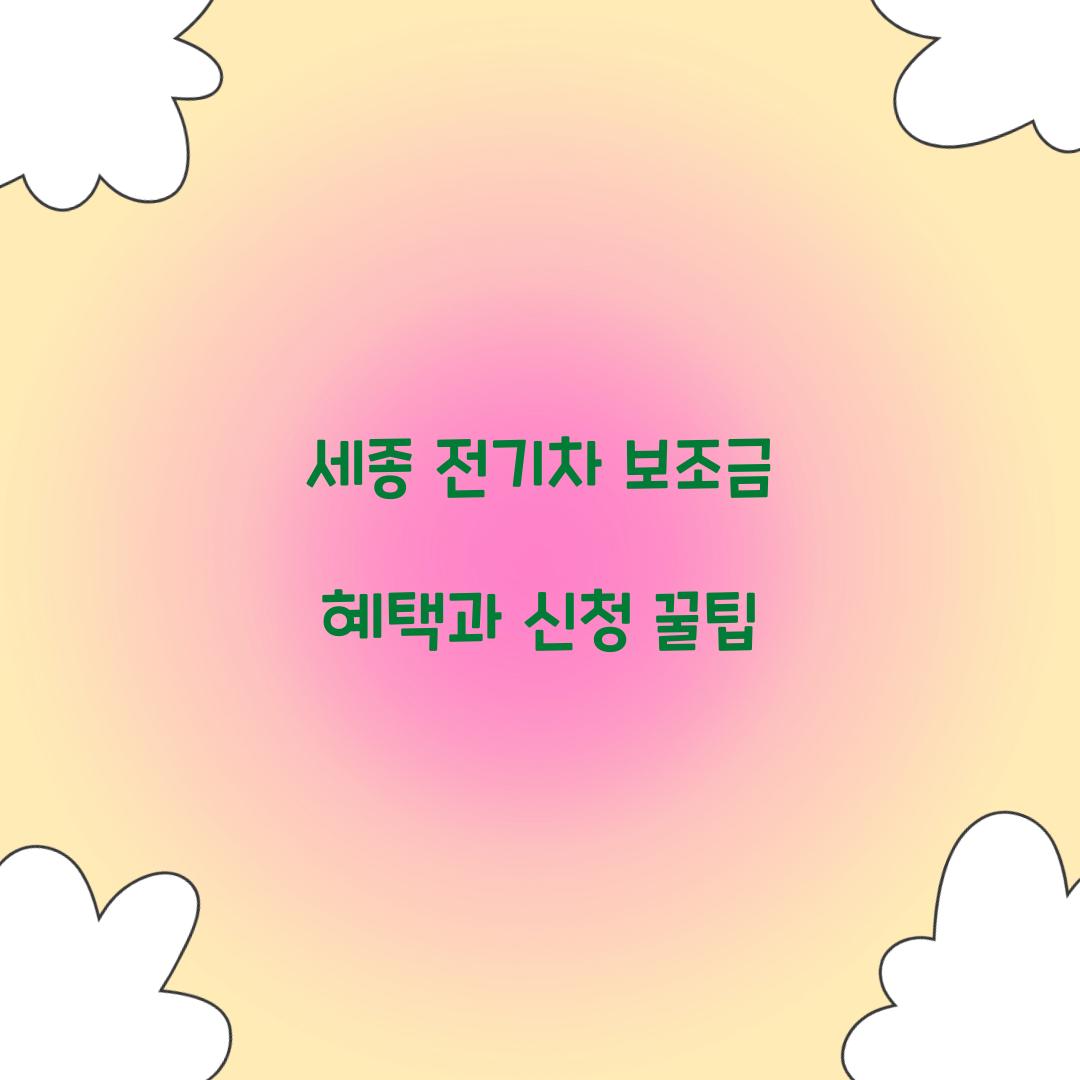 세종 전기차 보조금