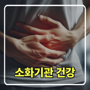 소화기 건강 지키는 생활습관과 좋은 식품 추천