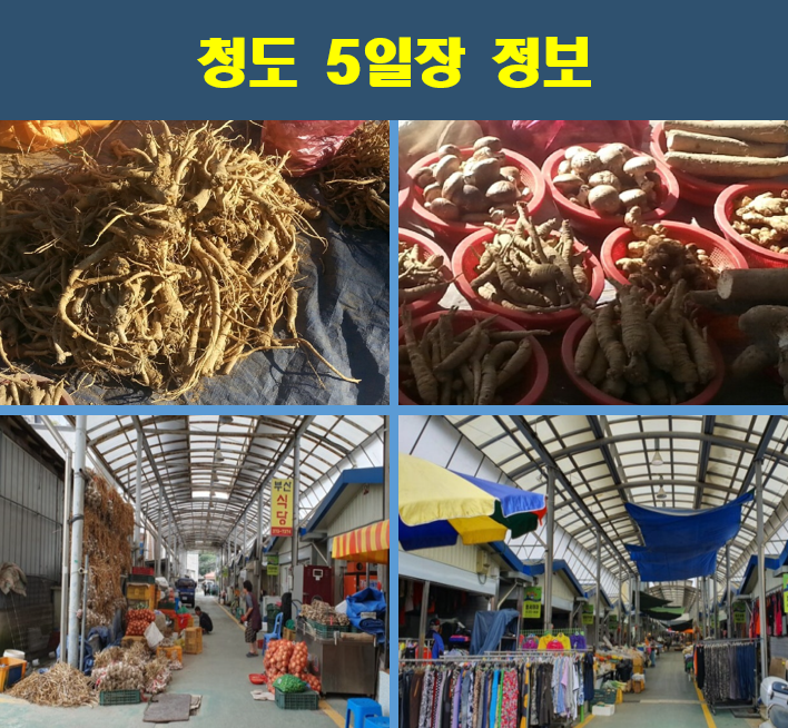 청도-5일장-정보