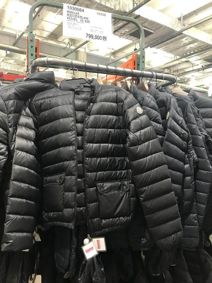 코스트코 추천 상품 버버리 및 몽클레어 패딩