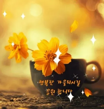 10월 인사말 문구 모음 정리_28