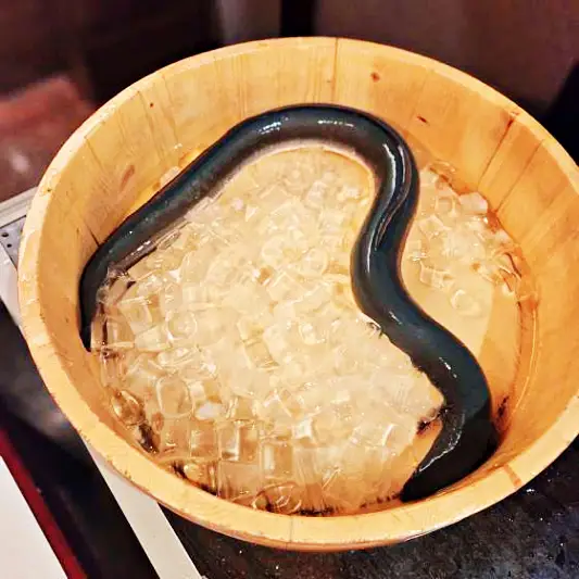 토밥 좋아 토요일은 밥이좋아 강남 논현 강화도 청정갯벌 장어구이 맛집