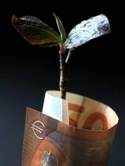 소비쿠폰 사용처